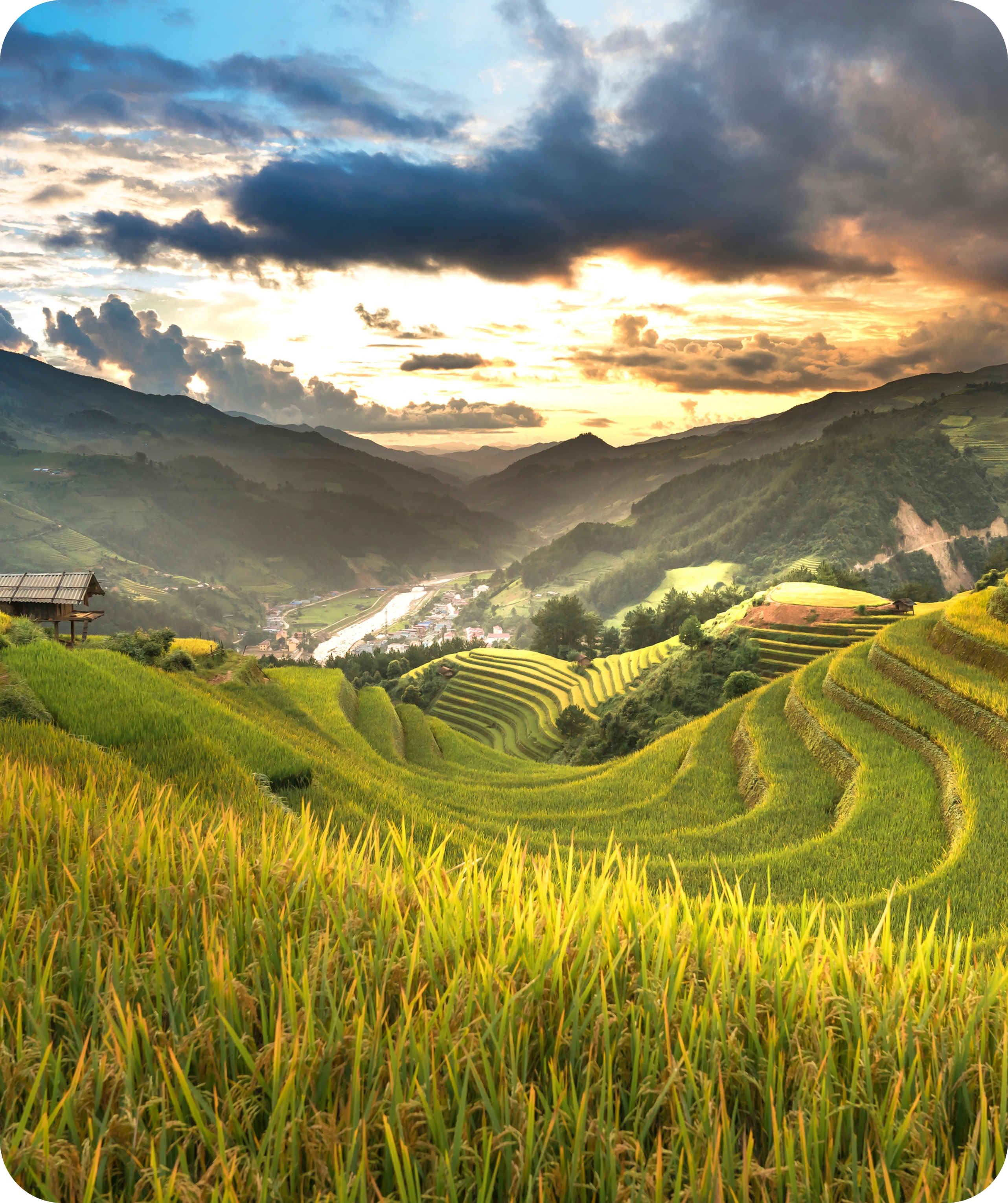 Agricultural Investments in Srilanka